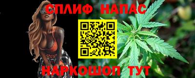МДПВ Моздок